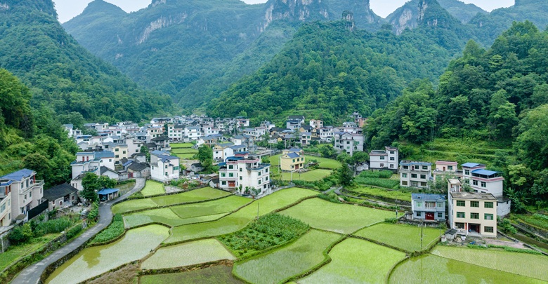 山乡绿意浓