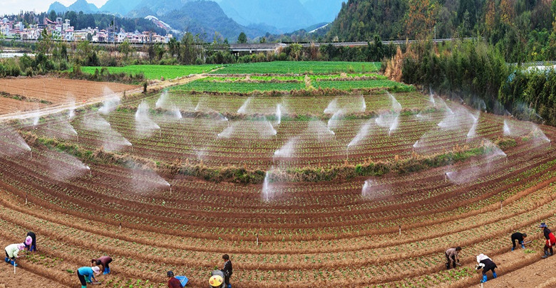 蔬菜轮种促增收