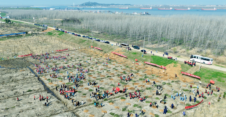 春来植树添新绿