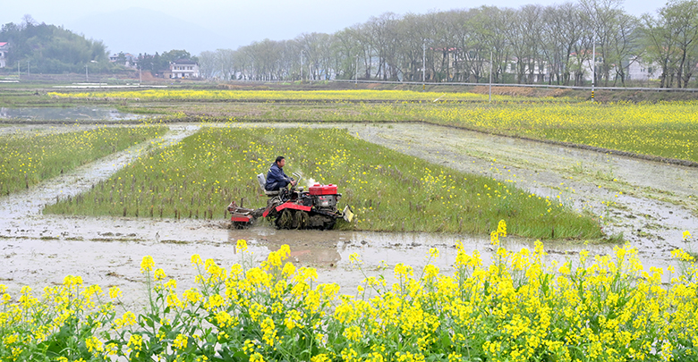 春分时节农事忙