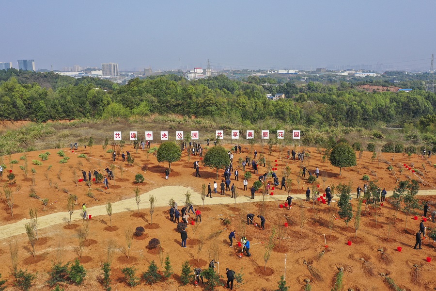 6t体育春来植树正当时多地开展形式多样国土绿化行动