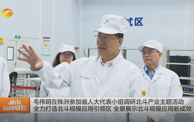 视频丨毛伟明在株洲参加省人大代表小组...