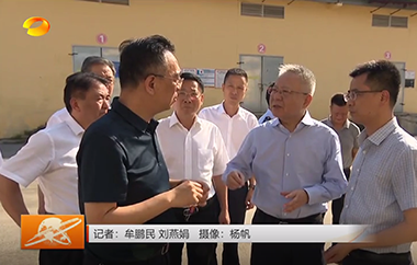 视频丨沈晓明赴浏阳暗访检查烟花爆竹原...