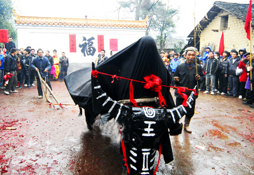 春到瑶寨“耍春牛” 古道风习情满永州瑶乡