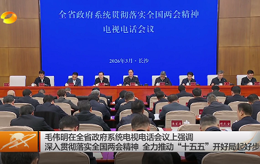 视频丨毛伟明在全省政府系统电视电话会...