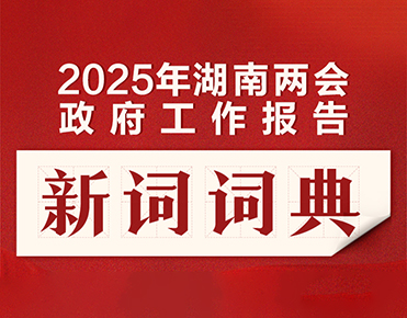 电子书丨2025年湖南两会《政府工作报告...