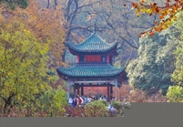 We Have Everything You Need! | 你要啥，我有啥！