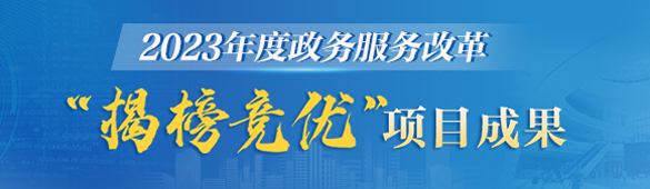 2023年度政务服务改革"揭榜竞优"项目成果