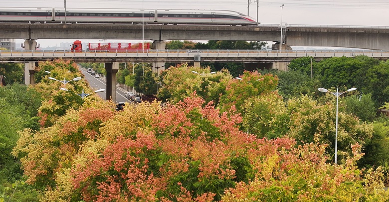雁城秋色惹人醉