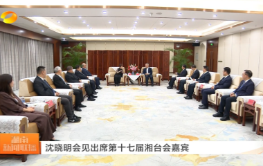 视频丨沈晓明会见出席第十七届湘台会嘉...