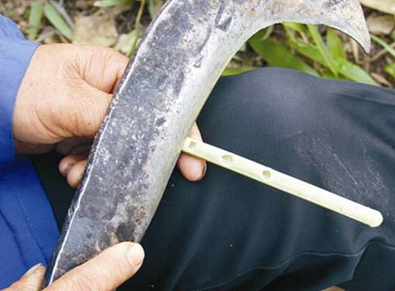 国家级目录/土家族咚咚喹