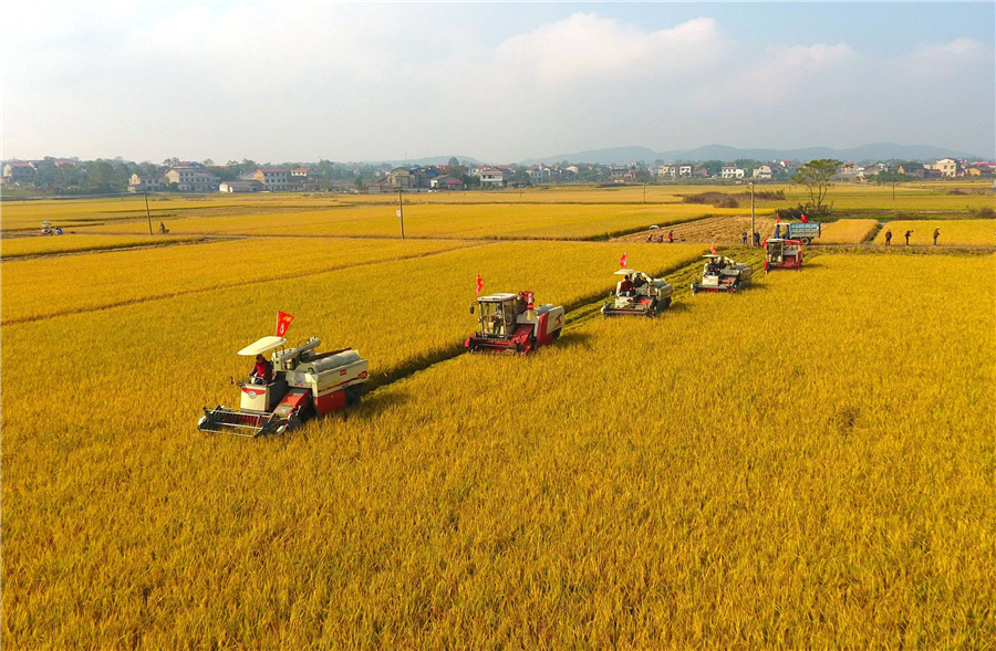 【湖南省农业农村厅】发布新中国成立70年来全省农业农村发展成就